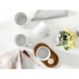 Creatable Set Skodelic Polo, 6-Delni | Shoptok.si