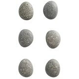 ZELLER Komplet magnetov Present stone (6 kos, premer: 2,1 cm) Cene