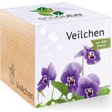 Feel Green ecocube "Vijolice" Cene