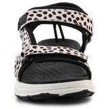 D.Franklin Nizki čevlji DFSH406002DOTT pisana | Shoptok.si
