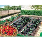 Nortene Filc za zaštitu jagoda (D x Š: 10 x 1,4 m) Cijene