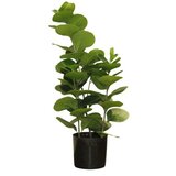 Dekordom Cvet u saksiji - douban yh1908-55cm-66l - 55cm - n55 ( 025084 ) Cene