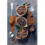 Conceptum Hypnose Tepih staza (80x120) Hmnt581 | Eponuda.com