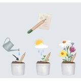  Rastuća olovka sa sjemenkama - cvijeće | shoptok.hr