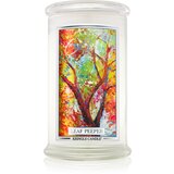 Kringle Candle Leaf Peeper dišeča sveča 624 g | Shoptok.si