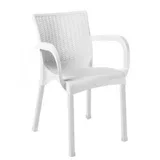 time stolica ratan orkide sandalye CT014