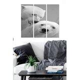 Wallity Set slika MDF196317, 3 dijela | Eponuda.ba