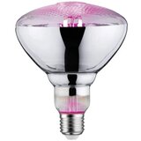 PAULMANN LED svjetlo za rast biljaka 230 V E27 6.5 W jantar 1 St. | Eponuda.ba