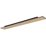 Globo LED PLAFONJERA 36W CCT HAYDEN 67347D6 u