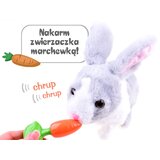  Interaktivni plišasti zajček siv | Shoptok.si