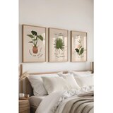 WALLXPERT Č-300532 - 3040 set dekorativnih slika u više boja (3 komada) | Eponuda.com