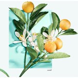 Tiffany & Co. Tiffany & Love parfumska voda za ženske 50 ml | Shoptok.si