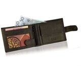 Betlewski BPMHT60BRAZOWY60429 sarena | shoptok.hr