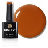  BLUESKY TERRA RADIANCE TRAJNI LAK 10ML | Eponuda.ba