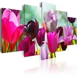  Slika - Pink fun 100x50 Cijene