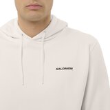 Salomon Chest Logo Hoodie duks | Eponuda.com