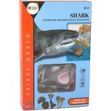 Ammonite Shark Excavation Educational Kit | shoptok.hr