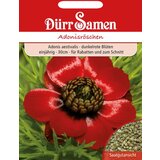 Dürr Samen adonis | Shoptok.si