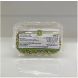 Evergreen seckani pistaći 100g cene