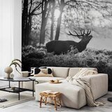  Foto tapeta - Deers in the Morning 294x210 Samoljepljiva | shoptok.hr
