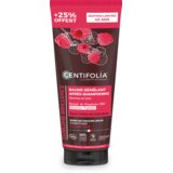 Centifolia Balzam za raščešljavanje i sjaj kose - 200ml | Eponuda.com
