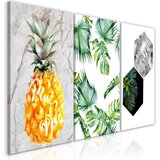 Slika - Hot Tropics (3 Parts) 120x60 Cijene