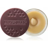Burt's Bees conditioning lip scrub