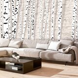  Tapeta - Birchen Grove 300x210 Cijene