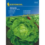 KIEPENKERL Glavičasta salata Attractie (Lactuca sativa var. capitata, Berba: Lipanj) Cijene