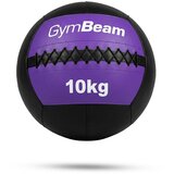 GymBeam Wall Ball 10 kg | Eponuda.com
