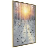  Poster - Frosty Sunset 20x30 Cijene