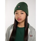Dickies Kape 'Gibsland' jelka | Shoptok.si