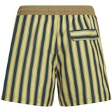 O'neill Stripe šorc | Eponuda.com