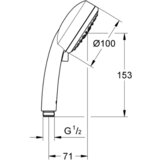 Grohe tuš ročka NEW TEMPESTA Cosmopolitan 100 (27575002) | Shoptok.si