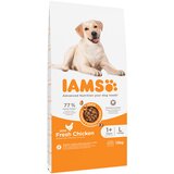 IAMS 10 + 2 gratis! suha pasja hrana 12 kg - Advanced Nutrition Adult Large Dog s piščancem | Shoptok.si