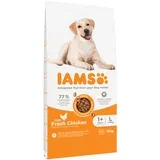 10 + 2 gratis! suha pasja hrana 12 kg - Advanced Nutrition Adult Large Dog s piščancem