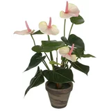  Umjetna biljka Anturij (Visina: 40 cm, Krem boje, Plastika)