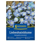 KIEPENKERL Cvetlična semena Modrooka (Nemophila menziesii, Modra) Cene
