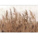  Foto tapeta - Tall Grasses - Brown 350x256 | shoptok.hr