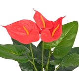 vidaXL Umetna rastlina flamingovec v loncu 45 cm rdeča in rumena | Shoptok.si