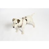 MiaCara Bež uprtač XS dužina 25 cm Modena Greige XS – | shoptok.hr