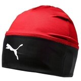 Puma Liga Beanie sarena | shoptok.hr