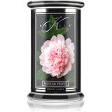 Kringle Candle Reserve Minted Peony dišeča sveča 623 g Cene