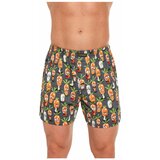 Cornette Men's shorts Classic multicolored (001/129) Cene