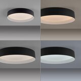 SCHÖNER WOHNEN 14594-18 - prigušiva LED stropna svetiljka TAVOLI LED/20W/230V crna+daljinski upravljač | Eponuda.com