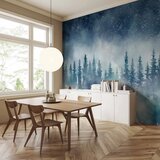  Foto tapeta - Night landscape - landscape of a misty forest at night with a starry sky 350x256 Standard | shoptok.hr