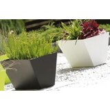 Prosperplast Saksija Tubus Case C400, Bela Cene