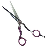 PRO - Frizerske makaze Disco Professional 6"