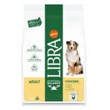 Libra dog adult piletina