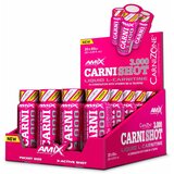 Amix CarniShot 3000 20x60ml Limun – Tečni L-Karnitin za Sagorevanje Masti | ePonuda.com